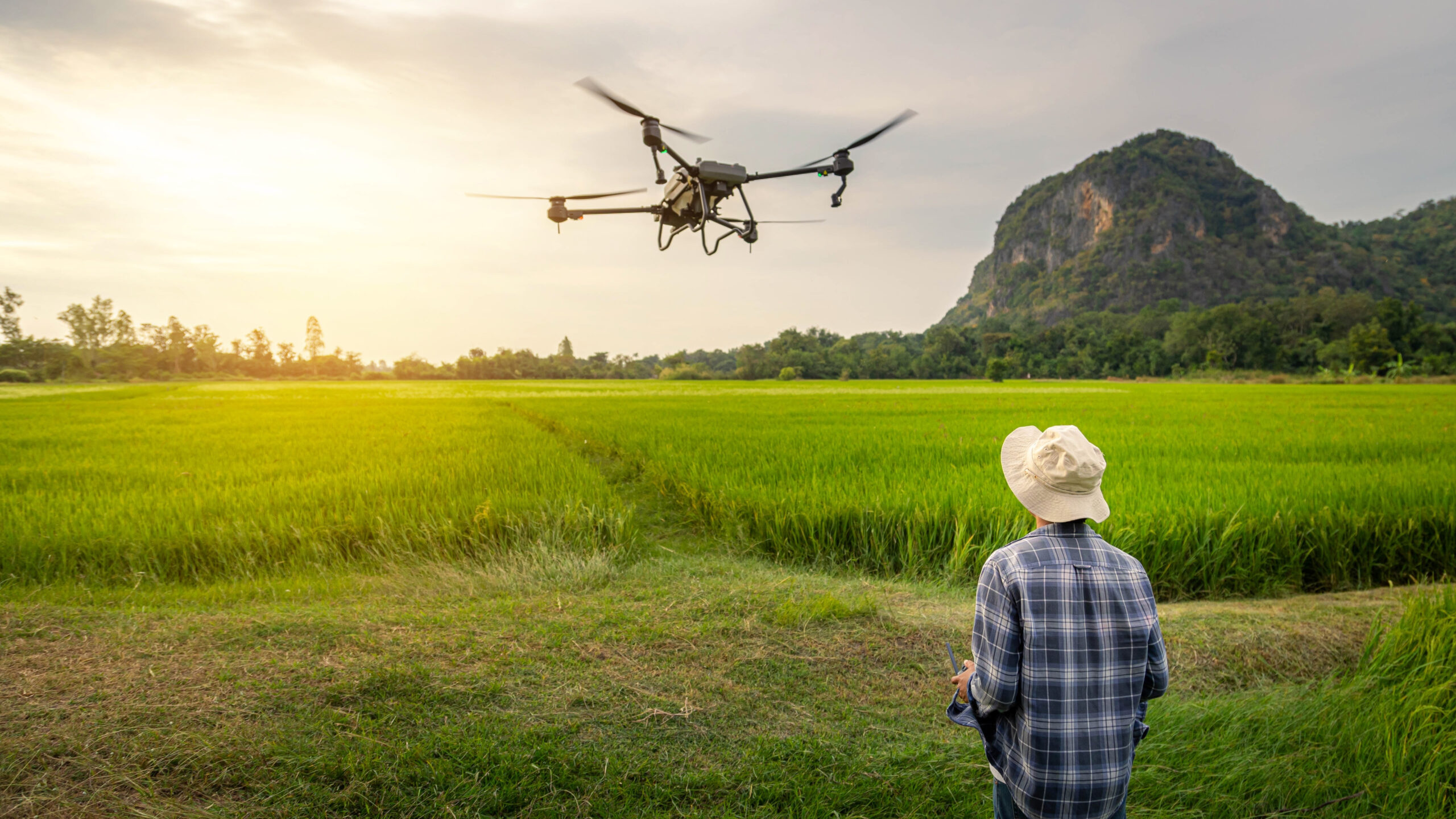 Aplicació de tractaments agrícoles amb dron